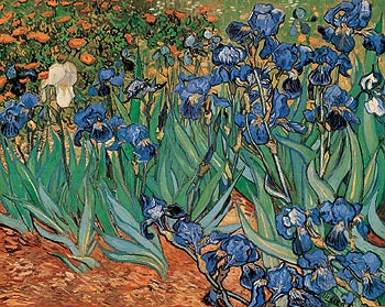 Les iris de Vincent van Gogh